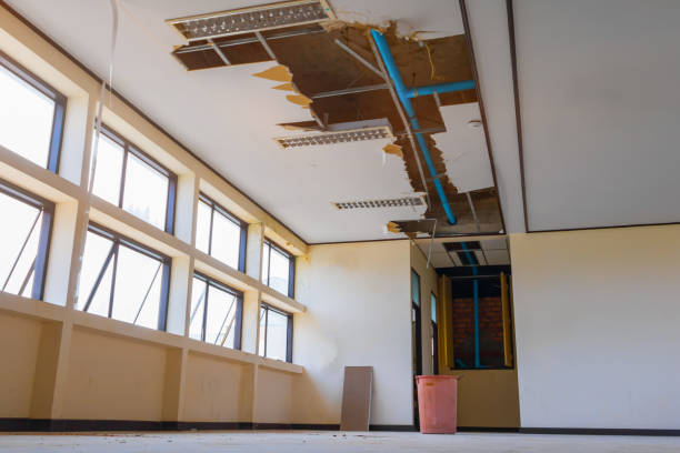 Best Water damage restoration company  in El Macero, CA