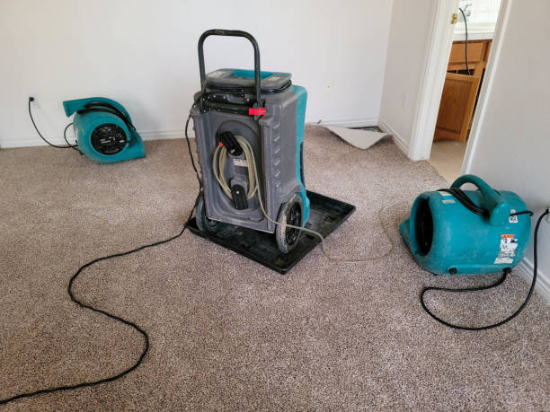 Best Residential water damage restoration  in El Macero, CA