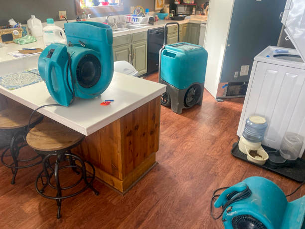 Best Flooded house restoration  in El Macero, CA