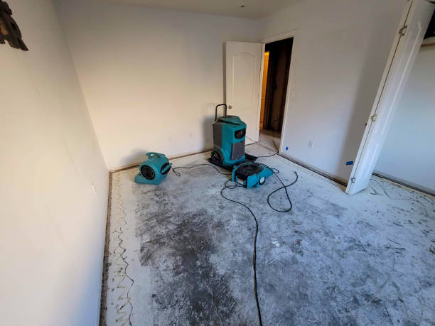 Best Fire Damage Restoration  in El Macero, CA