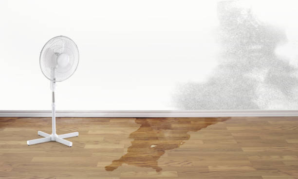 Best Residential water damage restoration  in El Macero, CA