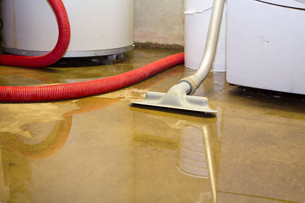 Best Basement water damage restoration  in El Macero, CA