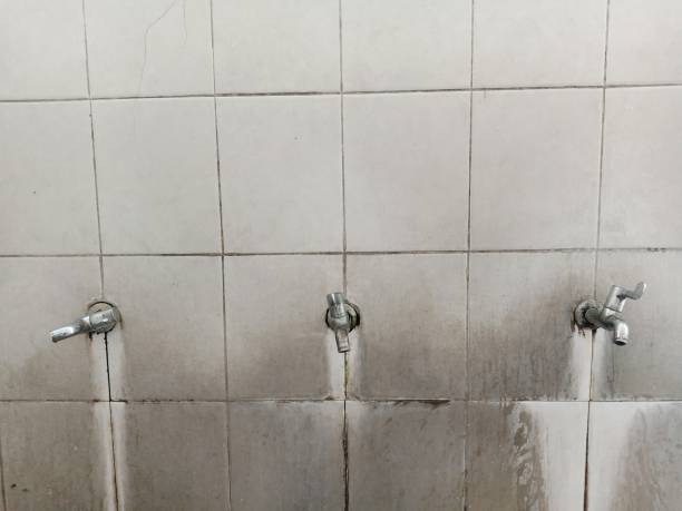 Best Flooded house restoration  in El Macero, CA