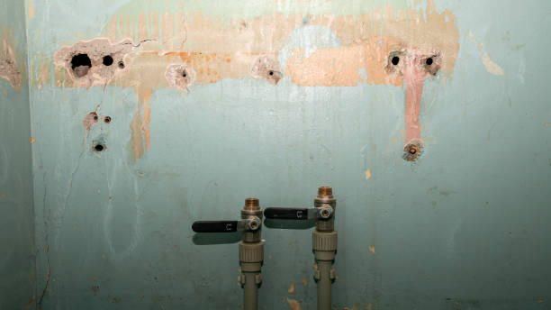 Best 24/7 water damage repair  in El Macero, CA