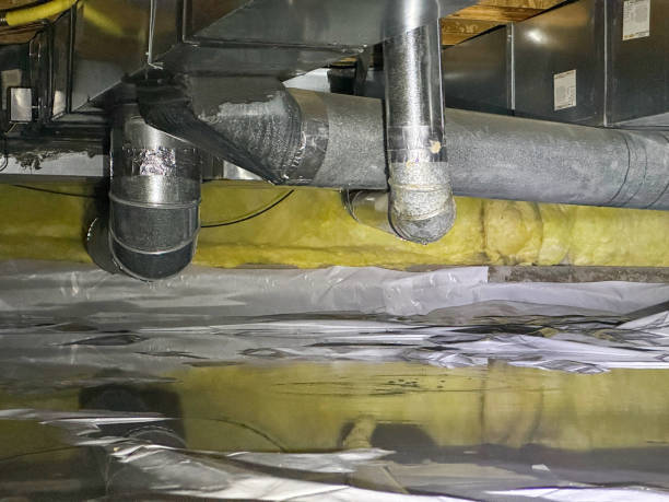 Best Basement water damage restoration  in El Macero, CA