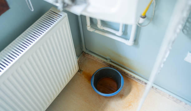 Best Professional water damage repair  in El Macero, CA
