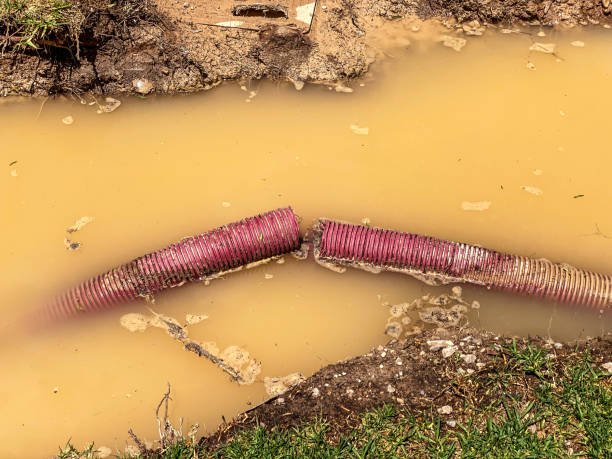 Best Water damage restoration mold remediation  in El Macero, CA